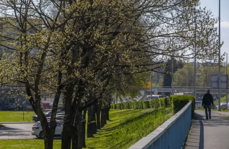Dama u trenirci i bez trunke šminke pomela bi i manekensku elitu