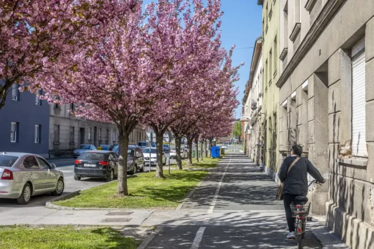 Dama u trenirci i bez trunke šminke pomela bi i manekensku elitu