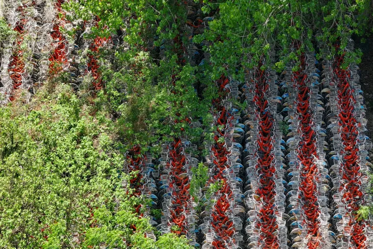 Pogledajte kaotičan prizor: Nazivaju ga 'grobljem', možete li prepoznati o čemu je riječ?