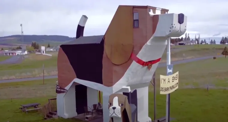 DOG BARK INN U COTTONWOODU, IDAHO - Zaboravite klasične hotele i vikendice – u gradiću Cottonwood u saveznoj američkoj državi Idaho nalazi se jedan od najneobičnijih smještaja na svijetu: Dog Bark Park Inn. Ova kuća na kat oblikovana je kao – pas. Zgrada je izgrađena u obliku ogromnog bigla, a ljubazno je zovu &quot;Sweet Willy&quot;. Ova neobična gostinjska kuća visoka je oko deset metara i postala je prava atrakcija za turiste, ljubitelje pasa i svih koji traže jedinstveno iskustvo. Iza projekta stoje Dennis i Frances, supružnici i umjetnici specijalizirani za izradu drvenih skulptura pasa. Ovaj nesvakidašnji hotel zapravo je proširenje njihove umjetničke priče. Unutrašnjost kuće jednako je šarmantna – sve je tematski u znaku pasa, od jastuka i posteljine do suvenira, a gosti spavaju unutar trupa psa, dok se kupaonica nalazi u njegovom trbuhu