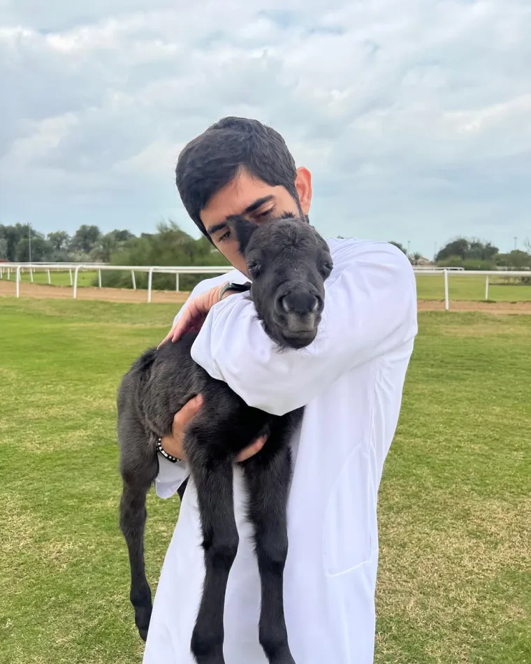 Ovo je princ Dubaija: Oženio rođakinju, a njegov luksuzni život prati 17 milijuna ljudi