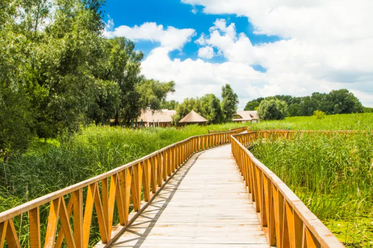 7. Park prirode Kopački rit: Jedno od najvećih močvarnih područja u Europi, smješteno u Baranji, raj je za ljubitelje prirode i promatranje ptica. Istražite ga pješice, biciklom, čamcem ili brodom i otkrijte nevjerojatnu bioraznolikost. Posjet obližnjim etno selima poput Karanca (npr. seosko gospodarstvo Ivica i Marica) ili Kneževih Vinograda (Knežev dol) upotpunit će doživljaj autentičnom baranjskom kuhinjom i vinima.
