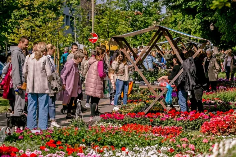 Zgodna dama u jakni pastelnih tonova privlačila poglede