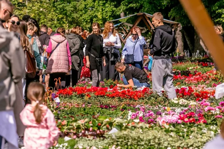 Zgodna dama u jakni pastelnih tonova privlačila poglede
