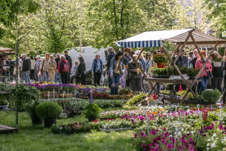 Zgodna dama u jakni pastelnih tonova privlačila poglede