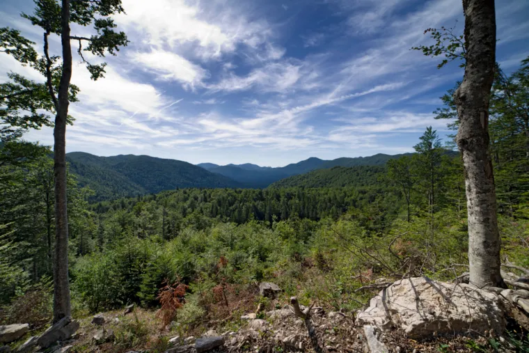 3. Štirovača (Velebit): Duboko u srcu Velebita, unutar Nacionalnog parka Sjeverni Velebit, nalazi se Štirovača – prostrana dolina s gustim crnogoričnim šumama i izvorom pitke vode. Poznata po svojoj očuvanoj prirodi i miru, ova oaza zelenila idealna je za bijeg od civilizacije, piknik i lagane šetnje u netaknutom planinskom okruženju.