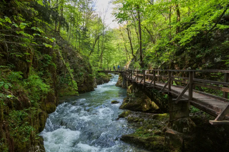 6. Kanjon Kamačnik: Ova prekrasna šetnica kod Vrbovskog vodi vas uz kristalno čistu rječicu Kamačnik, koja se ulijeva u Dobru. Staza duga oko 3 km (u jednom smjeru) prolazi drvenim mostićima i galerijama uz stijene, pokraj slapova, sve do tajanstvenog izvora koji izvire iz dubokog špiljskog kanala. Ulaznica iznosi 5 €, a staza je obogaćena i Panovom poučnom glazbenom stazom s instalacijama za istraživanje zvukova prirode.