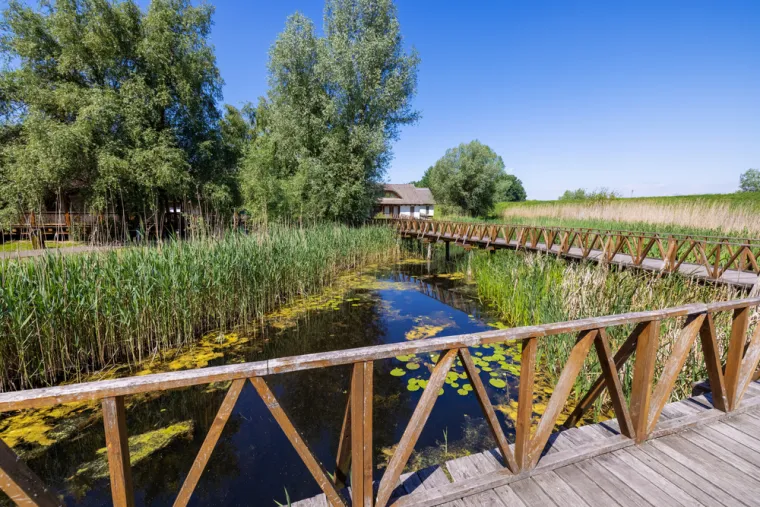 7. Park prirode Kopački rit: Smješten na ušću Drave u Dunav, ovaj park prirode jedno je od najočuvanijih i najvećih močvarnih područja u Europi. Pravi je raj za ljubitelje ptica i prirode. Istražite ga pješice, biciklom ili turističkim brodom kroz njegove kanale i jezera, diveći se bogatstvu flore i faune, posebno brojnim vrstama ptica močvarica.