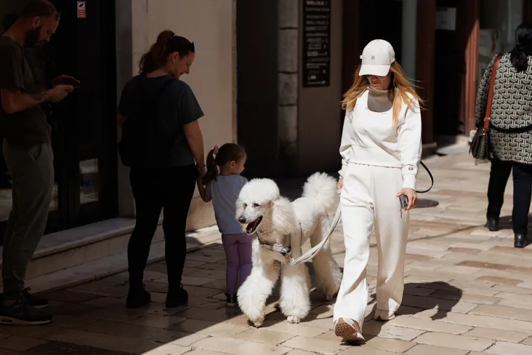 Duge noge i uska suknja: Dvije ljepotice donijele su ljeto u Zadar