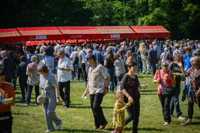 Kao da sutra ne postoji! Nesnosni redovi za besplatan grah, pogledajte ove prizore