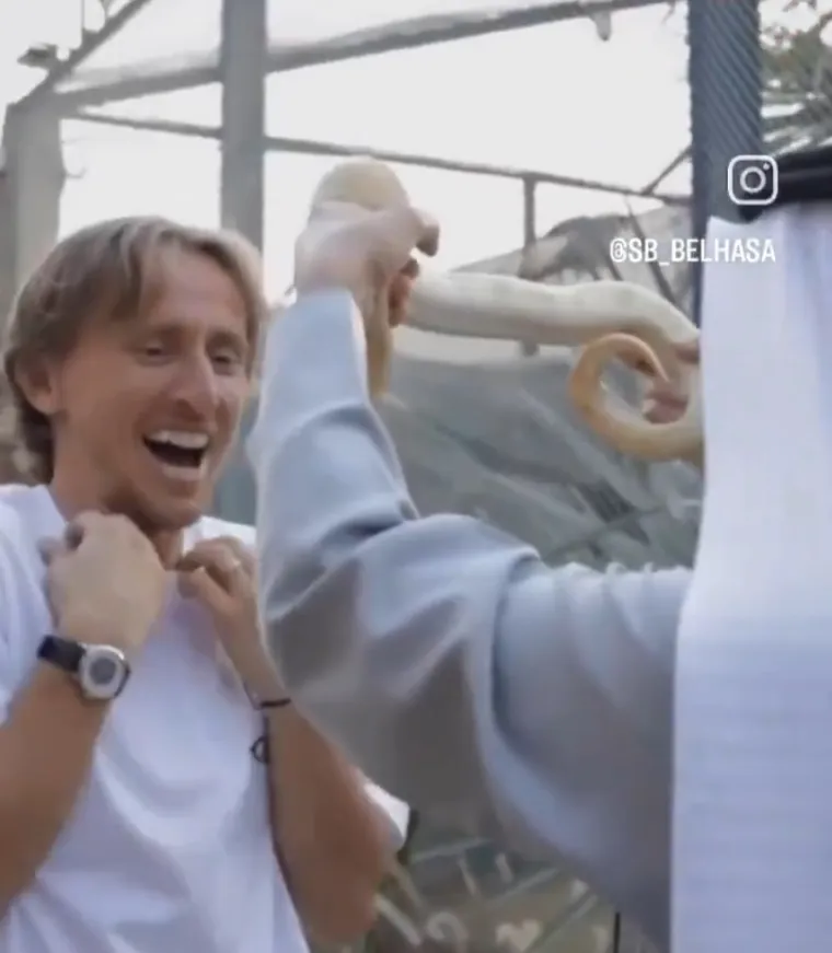 Modrić mazio orla, hranio tigra i pozirao sa zmijama, no jedna će fotografija jako naljutiti njegovog prijatelja