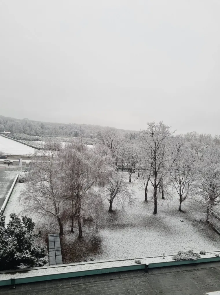 Zagrebačka Dubrava