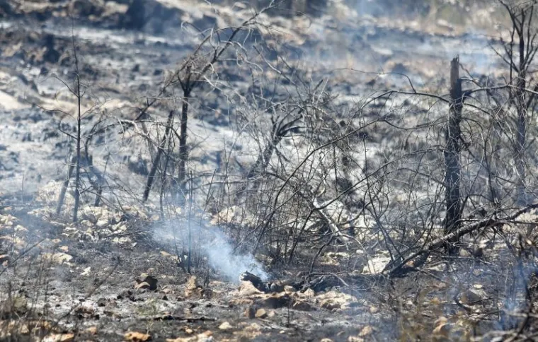 DAN NAKON KATASTROFALNE BUKTINJE: Pogledajte sablasne prizore kraj Perkovića