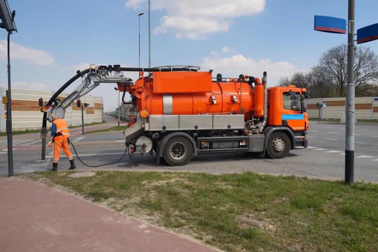 Osim toga neprestano su u opasnosti od prometa.