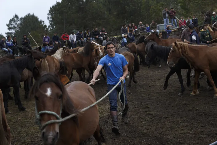 Festival konja u Španjolskoj