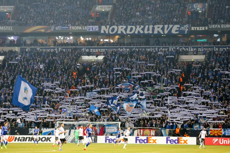 Uz to pruža luksuz ravan najmodernijim stadionima na svijetu uz jedan neobičan bonus. Dok većina svjetskih arena ogromne količine piva dovlači u bačvama i drugim konvencionalnim metodama veliki proizvođač piva i sponzor Schalkea, Veltins je za Arenu osigurao čak pet kilometara pivovoda kojim se navijači opskrbljuju pivom.