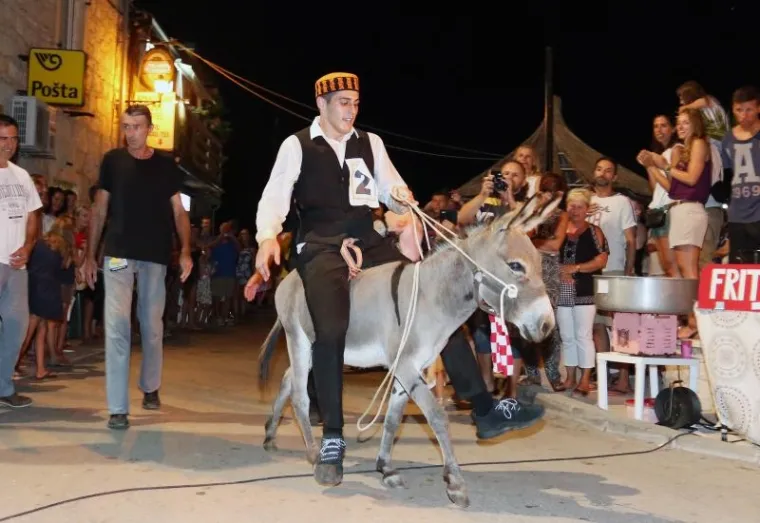 TOVAR MIŠKO OSVOJIO TITULU: Održana 50. jubilarna utrka magaraca u Tribunju, bilo je itekako zabavno