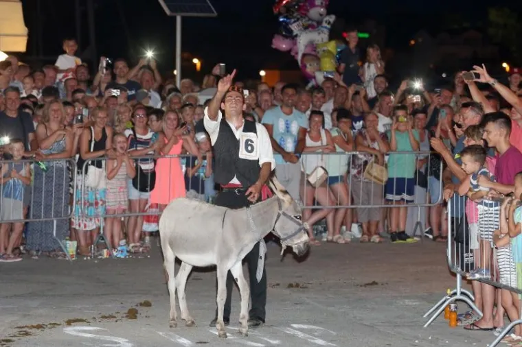 TOVAR MIŠKO OSVOJIO TITULU: Održana 50. jubilarna utrka magaraca u Tribunju, bilo je itekako zabavno