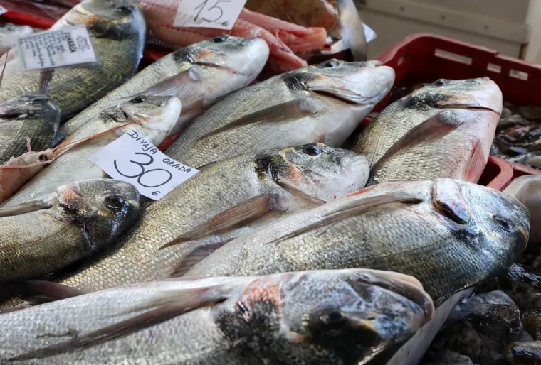 Cijena divlje orade kreće se između 25 i 30 eura po kilogramu 