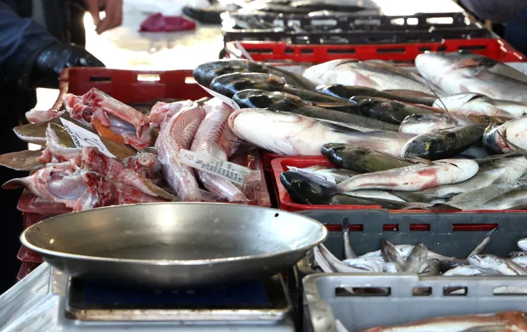 Živahno na šibenskoj tržnici: Pogledajte po kojim se cijenama prodaju orade, škarpine, brancini
