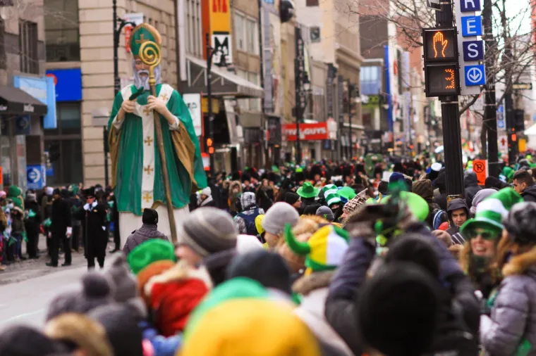 S vremenom je posvećen za biskupa u Irskoj, kamo ga je poslao papa Celestin I. U naviještanju Evanđelja se najprije obraćao kraljevim odličnicima, a njihov prijelaz na kršćanstvo zatim je usvojio i puk. Zanimljivo, Irska je pod njim postala jedna od rijetkih zemalja koja je prihvatila kršćanstvo bez prolijevanja krvi.