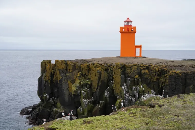 15. Grímsey (Island) - Ovaj otok, koji se prostire uz arktički krug, dom je oštrim liticama, povijesnom svjetioniku i milijunima morskih ptica. Njegova surova, neukroćena ljepota nudi mirno utočište za sve koji žele uživati u prirodi i promatrati divlje životinje.