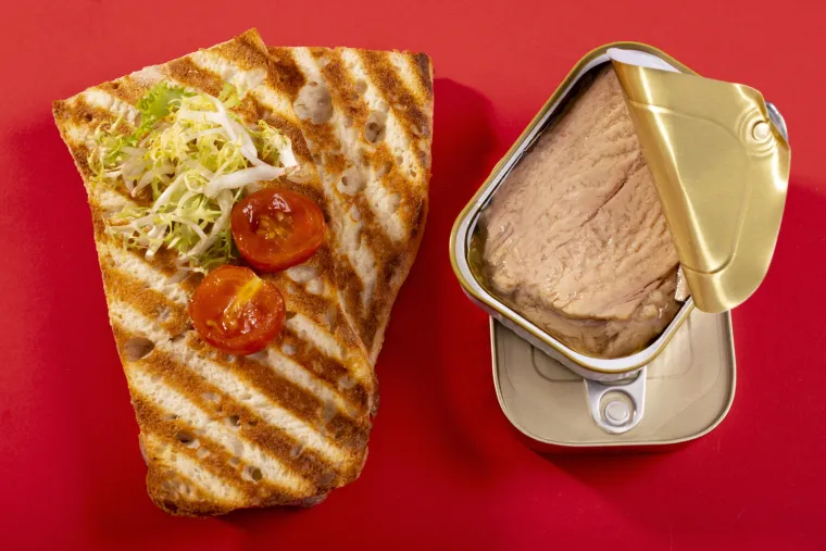 12. Konzervirana tuna : Kao i losos, tuna je koncentrirani izvor proteina i omega-3 masnih kiselina. Pripremite kremasti namaz od tune koristeći svježe začine, majonezu i grčki jogurt te ga poslužite s krekerima ili povrćem.