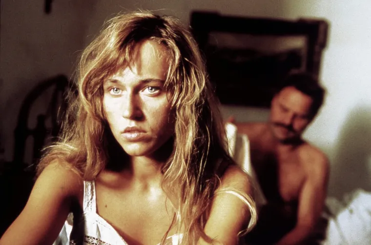 Iako je mogla ostati u Njemačkoj, Anica se nikada nije potpuno odvojila od Srbije pa je tako stalno balansirala između domaćih i stranih projekata, a i danas je aktivna u serijama i filmovima.