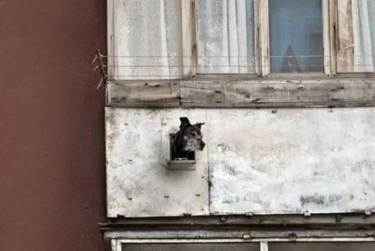 [FOTO] RUSKI BALKONI SU ČISTA UMJETNOST: Mogu pasti svakog trenutka, ali dok stoje su pravi spomenici