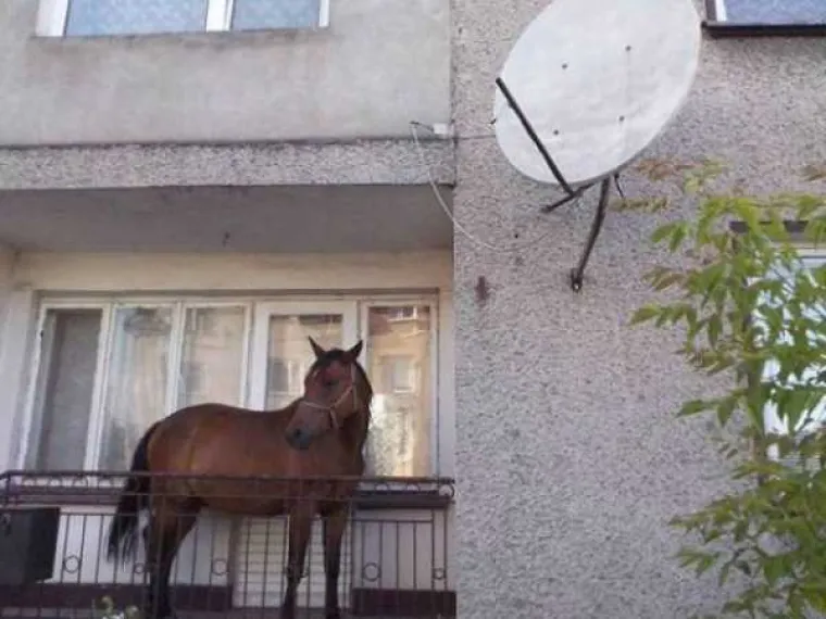 [FOTO] RUSKI BALKONI SU ČISTA UMJETNOST: Mogu pasti svakog trenutka, ali dok stoje su pravi spomenici