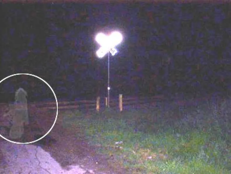 USLIKALI DUHOVE! Strašno je kakve sve utvare lunjaju sjenkama, čovjek se zamisli