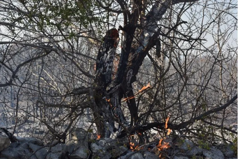 TEŠKA BORBA U KISTANJU: Vatrogasci se satima borili protiv vatrene stihije, plamen i dalje aktivan