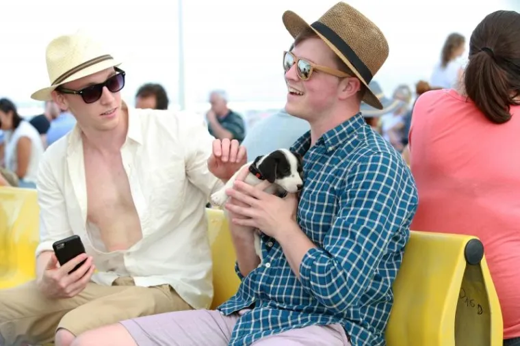 OVO JE NAJSLAĐI PAS NA HRVATSKOJ OBALI I ŠIRE: Štene Jack Russell terijera oduševilo putnike na trajektu za Stari Grad