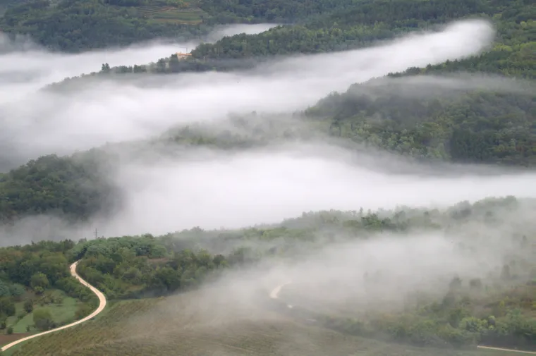 Prava ruta: Rujan u Motovunu