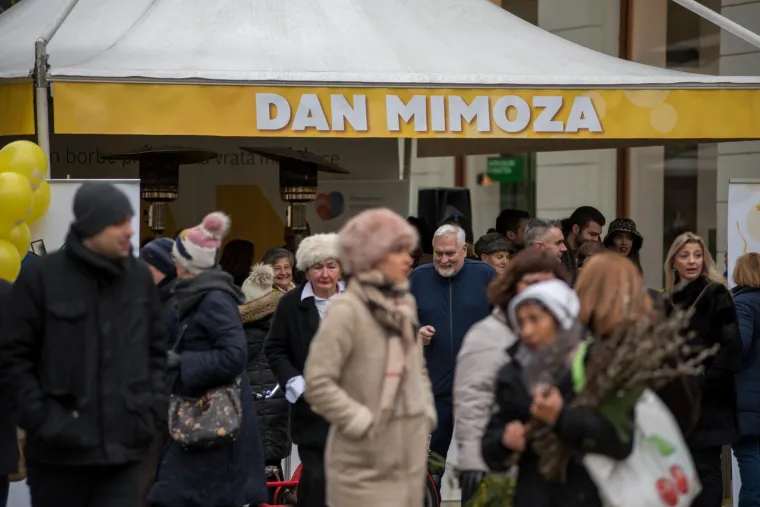 Obilježavanje 12. Dana mimoza i Nacionalnog dana borbe protiv raka vrata maternice