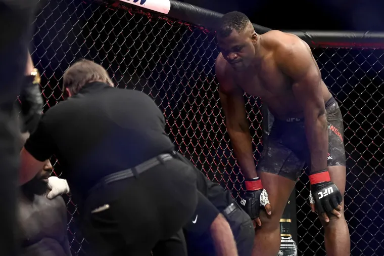 Francis Ngannou poznat je kao iznimno moćan borac koji kad primi suparnika kako spada, u 100% slučajeva ruši suparnika na tlo, a onda nastupaju njegovi maljevi.