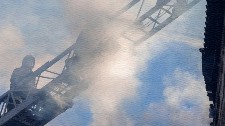 Jedna od katastrofa koju je Ripley najpomnije proučavala bila je evakuacija Svjetskog trgovačkog centra (WTC) na Manhattanu u New Yorku 11. rujna 2001. godine nakon terorističkog napada. To je tragedija koja je temeljito dokumentirana i nudi dublje uvide.