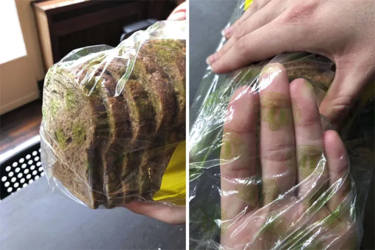 Tako to završi kada je tata ugledni član stranke, a zlato malo netalentirano silno želi diplomu