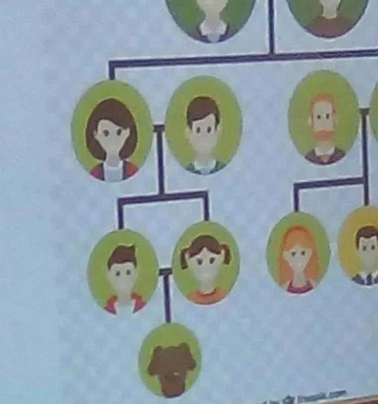 PRONAŠLI SMO KRIVCE ZA VAŠE JEDINICE U ŠKOLI: Pa tko je, zaboga, mislio da je ovo okej staviti u udžbenike?!