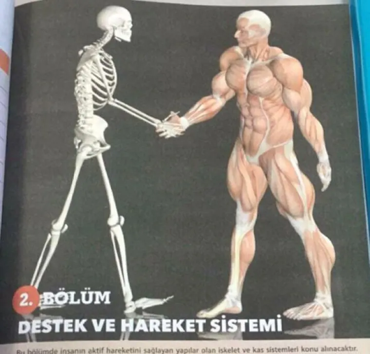 PRONAŠLI SMO KRIVCE ZA VAŠE JEDINICE U ŠKOLI: Pa tko je, zaboga, mislio da je ovo okej staviti u udžbenike?!