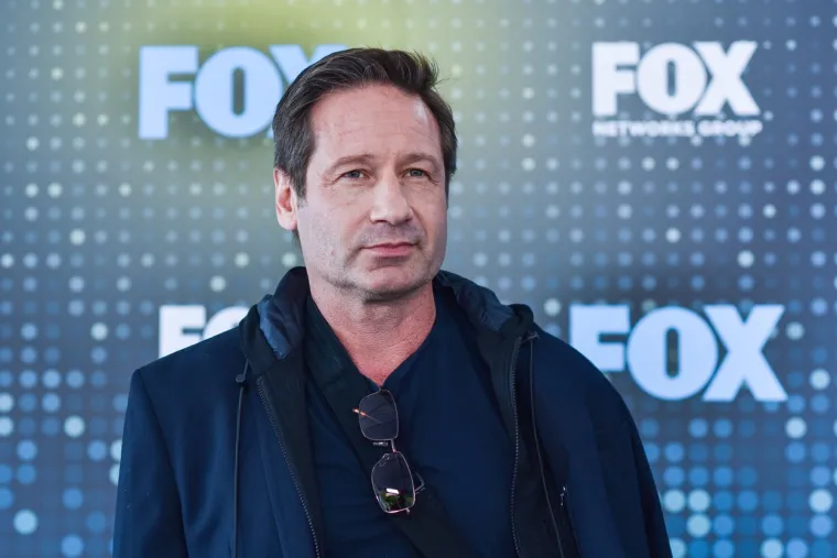 2017. godine David Duchovny, foto: Profimedia