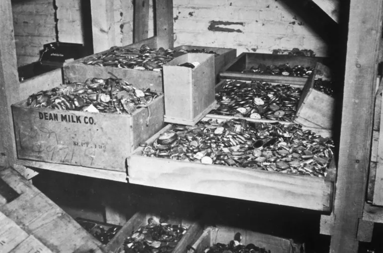 Rečeno je da olovkom ispisane stranice dnevnika identificiraju 11 lokacija diljem Donje Šleske koja je bila njemački teritorij prije i tijekom rata. Zapis od 12. ožujka 1945. koji se odnosi na blago u palači Minkowskie kaže: &apos;U oranžeriji je iskopano korito koje je siguran &apos;dom&apos; za isporučene škrinje i posude.&apos; 48 škrinja iz Reichsbanke, u dobrom stanju, bilo je skriveno, vrlo dobro prekriveno zemljom i &apos;ozelenjeno&apos; još živim biljkama. Neka providnost bdije nad nama.&apos; (Zlatni satovi i ostali nakit koji su nacisti sakrili u rudnicima soli)
