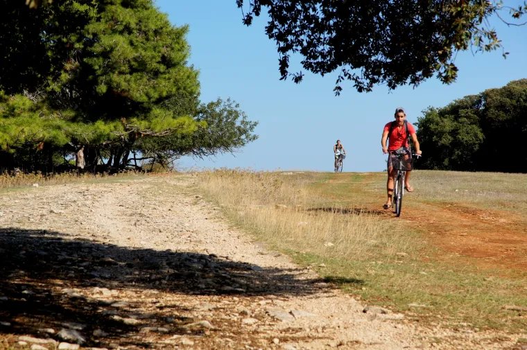 Prava ruta: Istraživanje Brijuna