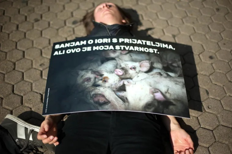 POTRESNI PERFORMANS NA TRGU BANA JELAČIĆA: Na koji način meso, mlijeko i jaja dolaze na naše stolove?