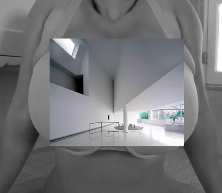 TANKA JE LINIJA IZMEĐU PORNOGRAFIJE I UMJETNOSTI: Nevjerojatna kombinacija pornića i arhitekture