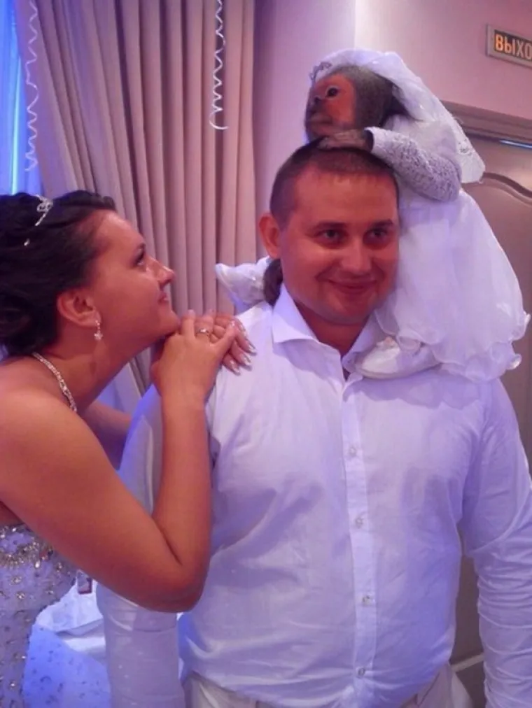 NISMO SIGURNI JE LI IZA NJIH VRLO TEŽAK PONEDJELJAK ILI SU SAMO POLUDJELI: Povukli pomalo bizarne poteze, a mi umiremo do smijeha