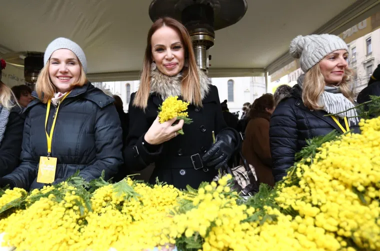 Obilježen Dan mimoza i Nacionalni dan borbe protiv raka vrata maternice diljem Hrvatske
