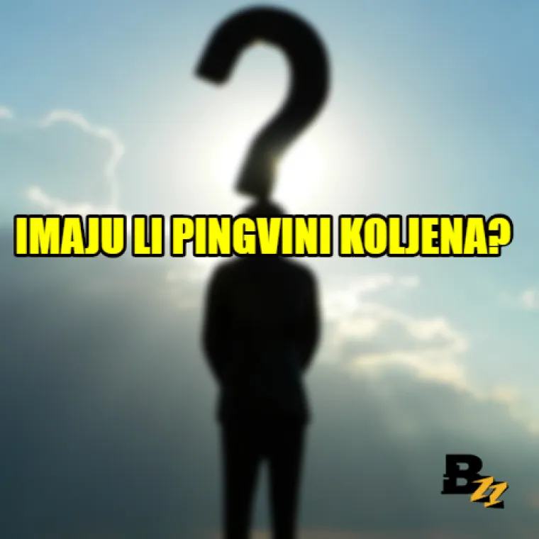 'Može li se prđenjem smršaviti?': 15 najbizarnijih, ali i čestih Google pitanja