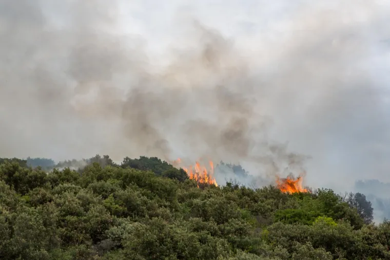 Na brdu Lozica izbio požar. Na teren su izašla 34 vatrogasca s ukupno devet vozila.