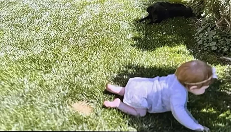 Princ Harry i Meghan Markle po prvi put otkrili fotografije kćerkice Lillibet: Od poroda i prvih koraka do prvog rođendana